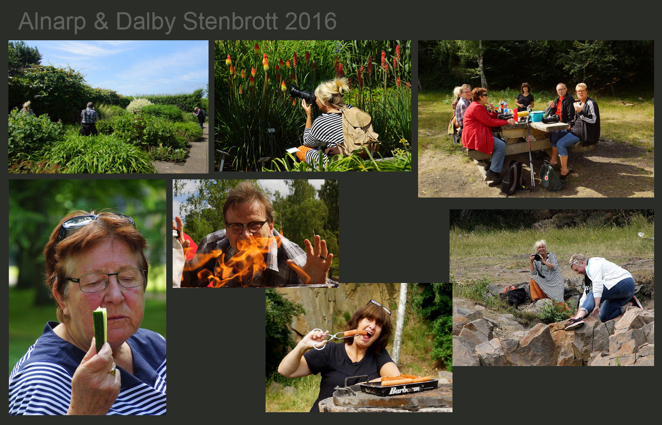 Kollage-Alnarp & Dalby