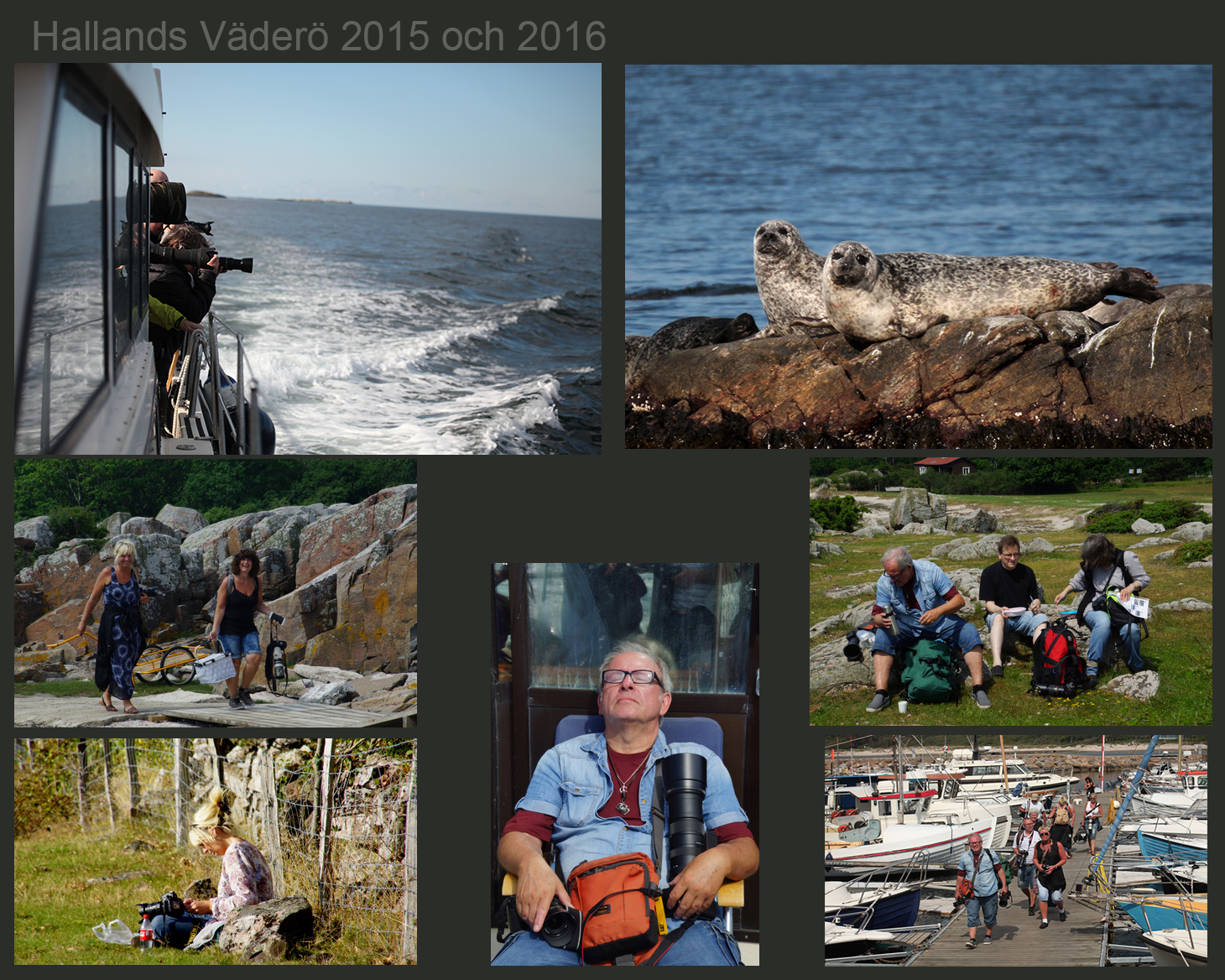 Kollage-Hallands Vadero