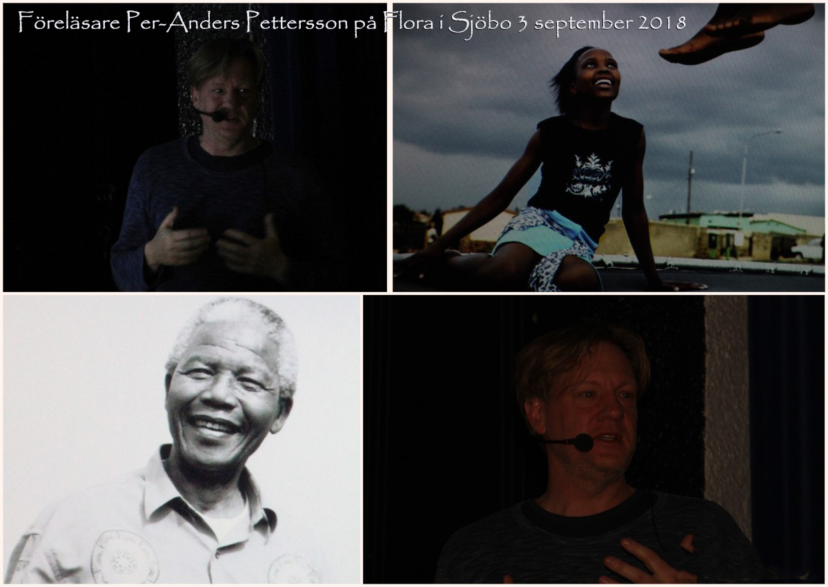 Collage 2018-11-12 02_58_34